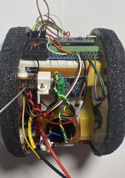 TORIN: Bioinspired Tubular Soft Robot